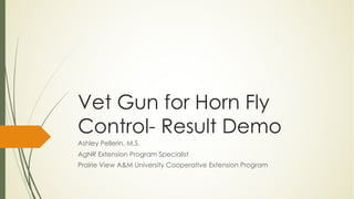 Vet Gun for Horn Fly
Control- Result Demo
Ashley Pellerin, M.S.
AgNR Extension Program Specialist
Prairie View A&M University Cooperative Extension Program
 