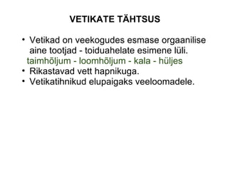   VETIKATE TÄHTSUS Vetikad on veekogudes esmase orgaanilise aine tootjad - toiduahelate esimene lüli.     taimhõljum - loomhõljum - kala - hüljes  Rikastavad vett hapnikuga. Vetikatihnikud elupaigaks veeloomadele. 