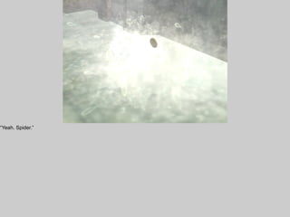 “Yeah. Spider.”
 