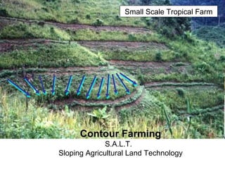 S.A.L.T.
Simple Agro-Livestock Technology (SALT 2)
Sustainable Agro-forest Land Technology (SALT 3)
Small Agro-Livelihood ...