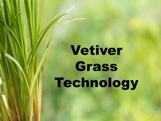 Vetiver
Grass
Technology
 