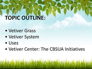 vetiver-grass.pptx