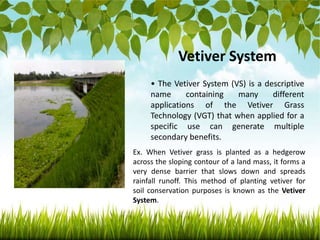 vetiver-grass.pptx