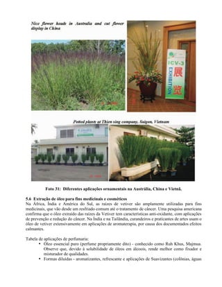 Foto 31: Diferentes aplicações ornamentais na Austrália, China e Vietnã.
5.6 Extração de óleo para fins medicinais e cosméticos
Na África, Índia e América do Sul, as raízes de vetiver são amplamente utilizadas para fins
medicinais, que vão desde um resfriado comum até o tratamento de câncer. Uma pesquisa americana
confirma que o óleo extraído das raízes da Vetiver tem características anti-oxidante, com aplicações
de prevenção e redução do câncer. Na Índia e na Tailândia, curandeiros e praticantes de artes usam o
óleo de vetiver extensivamente em aplicações de aromaterapia, por causa dos documentados efeitos
calmantes.
Tabela de aplicações de perfumaria:
• Óleo essencial puro (perfume propriamente dito) - conhecido como Ruh Khus, Majmua.
Observe que, devido à solubilidade de óleos em álcoois, rende melhor como fixador e
misturador de qualidades.
• Formas diluídas - aromatizantes, refrescante e aplicações de Suavizantes (colônias, águas
 