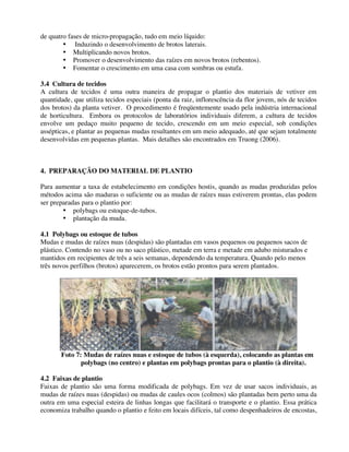 de quatro fases de micro-propagação, tudo em meio líquido:
• Induzindo o desenvolvimento de brotos laterais.
• Multiplicando novos brotos.
• Promover o desenvolvimento das raízes em novos brotos (rebentos).
• Fomentar o crescimento em uma casa com sombras ou estufa.
3.4 Cultura de tecidos
A cultura de tecidos é uma outra maneira de propagar o plantio dos materiais de vetiver em
quantidade, que utiliza tecidos especiais (ponta da raiz, inflorescência da flor jovem, nós de tecidos
dos brotos) da planta vetiver. O procedimento é freqüentemente usado pela indústria internacional
de horticultura. Embora os protocolos de laboratórios individuais diferem, a cultura de tecidos
envolve um pedaço muito pequeno de tecido, crescendo em um meio especial, sob condições
assépticas, e plantar as pequenas mudas resultantes em um meio adequado, até que sejam totalmente
desenvolvidas em pequenas plantas. Mais detalhes são encontrados em Truong (2006).
4. PREPARAÇÃO DO MATERIAL DE PLANTIO
Para aumentar a taxa de estabelecimento em condições hostis, quando as mudas produzidas pelos
métodos acima são maduras o suficiente ou as mudas de raízes nuas estiverem prontas, elas podem
ser preparadas para o plantio por:
• polybags ou estoque-de-tubos.
• plantação da muda.
4.1 Polybags ou estoque de tubos
Mudas e mudas de raízes nuas (despidas) são plantadas em vasos pequenos ou pequenos sacos de
plástico. Contendo no vaso ou no saco plástico, metade em terra e metade em adubo misturados e
mantidos em recipientes de três a seis semanas, dependendo da temperatura. Quando pelo menos
três novos perfilhos (brotos) aparecerem, os brotos estão prontos para serem plantados.
Foto 7: Mudas de raízes nuas e estoque de tubos (à esquerda), colocando as plantas em
polybags (no centro) e plantas em polybags prontas para o plantio (à direita).
4.2 Faixas de plantio
Faixas de plantio são uma forma modificada de polybags. Em vez de usar sacos individuais, as
mudas de raízes nuas (despidas) ou mudas de caules ocos (colmos) são plantadas bem perto uma da
outra em uma especial esteira de linhas longas que facilitará o transporte e o plantio. Essa prática
economiza trabalho quando o plantio e feito em locais difíceis, tal como despenhadeiros de encostas,
 