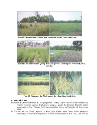 Foto 10: No centro-sul: Quang Ngai (esquerda) e Binh Phuoc (à direita).
Foto 11: No centro-norte: Quang Binh (à esquerda) e ao longo da rodovia HCM (à
direita).
Foto 12: No norte: Bac Ninh (esquerda) e Bac Giang (à direita).
6. REFERÊNCIAS
Charanasri U., Sumanochitrapan S., e Topangteam S. (1969). Capim Vetiver: desenvolvimento do
berçário (viveiro), técnicas de plantio no campo, e gestão das barreiras. Trabalho inédito
apresentado na Proc. Primeira Conf. Internacional de Vetiver na Tailândia, 4-8 fevereiro de
1996.
Le Van Be, Vo Tan Thanh, Nguyen Thi Para Uyen. (2006). Nhan Giong Vetiver (Vetiveria
zizanioides). Conferência Regional de Vetiver, Universidade de Can Tho, Can Tho, no
 