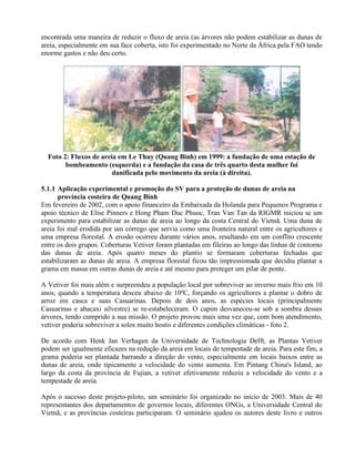 encontrada uma maneira de reduzir o fluxo de areia (as árvores não podem estabilizar as dunas de
areia, especialmente em sua face coberta, isto foi experimentado no Norte da África pela FAO tendo
enorme gastos e não deu certo.
Foto 2: Fluxos de areia em Le Thuy (Quang Binh) em 1999: a fundação de uma estação de
bombeamento (esquerda) e a fundação da casa de três quarto desta mulher foi
danificada pelo movimento da areia (à direita).
5.1.1 Aplicação experimental e promoção do SV para a proteção de dunas de areia na
província costeira de Quang Binh
Em fevereiro de 2002, com o apoio financeiro da Embaixada da Holanda para Pequenos Programa e
apoio técnico de Elise Pinners e Hong Pham Duc Phuoc, Tran Van Tan da RIGMR iniciou se um
experimento para estabilizar as dunas de areia ao longo da costa Central do Vietnã. Uma duna de
areia foi mal erodida por um córrego que servia como uma fronteira natural entre os agricultores e
uma empresa florestal. A erosão ocorreu durante vários anos, resultando em um conflito crescente
entre os dois grupos. Coberturas Vetiver foram plantadas em fileiras ao longo das linhas de contorno
das dunas de areia. Após quatro meses do plantio se formaram coberturas fechadas que
estabilizaram as dunas de areia. A empresa florestal ficou tão impressionada que decidiu plantar a
grama em massa em outras dunas de areia e até mesmo para proteger um pilar de ponte.
A Vetiver foi mais além e surpreendeu a população local por sobreviver ao inverno mais frio em 10
anos, quando a temperatura desceu abaixo de 10ºC, forçando os agricultores a plantar o dobro de
arroz em casca e suas Casuarinas. Depois de dois anos, as espécies locais (principalmente
Casuarinas e abacaxi silvestre) se re-estabeleceram. O capim desvaneceu-se sob a sombra dessas
árvores, tendo cumprido a sua missão. O projeto provou mais uma vez que, com bom atendimento,
vetiver poderia sobreviver a solos muito hostis e diferentes condições climáticas - foto 2.
De acordo com Henk Jan Verhagen da Universidade de Technologia Delft, as Plantas Vetiver
podem ser igualmente eficazes na redução da areia em locais de tempestade de areia. Para este fim, a
grama poderia ser plantada barrando a direção do vento, especialmente em locais baixos entre as
dunas de areia, onde tipicamente a velocidade do vento aumenta. Em Pintang China's Island, ao
largo da costa da província de Fujian, a vetiver efetivamente reduziu a velocidade do vento e a
tempestade de areia.
Após o sucesso deste projeto-piloto, um seminário foi organizado no início de 2003. Mais de 40
representantes dos departamentos de governos locais, diferentes ONGs, a Universidade Central do
Vietnã, e as províncias costeiras participaram. O seminário ajudou os autores deste livro e outros
 