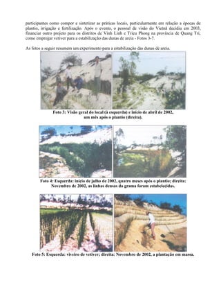 participantes como compor e sintetizar as práticas locais, particularmente em relação a épocas de
plantio, irrigação e fertilização. Após o evento, o pessoal de visão do Vietnã decidiu em 2003,
financiar outro projeto para os distritos de Vinh Linh e Trieu Phong na província de Quang Tri,
como empregar vetiver para a estabilização das dunas de areia - Fotos 3-7.
As fotos a seguir resumem um experimento para a estabilização das dunas de areia.
Foto 3: Visão geral do local (à esquerda) e início de abril de 2002,
um mês após o plantio (direita).
Foto 4: Esquerda: início de julho de 2002, quatro meses após o plantio; direita:
Novembro de 2002, as linhas densas da grama foram estabelecidas.
Foto 5: Esquerda: viveiro de vetiver; direita: Novembro de 2002, a plantação em massa.
 