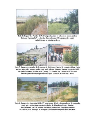 Foto 6: Esquerda: Plantas de Vetiver protegendo os pilares da ponte junto a
Estrada Nacional nº. 1; direita: Dezembro de 2004, as espécies locais
substituíram as plantas vetiver.
Foto 7: Esquerda: meados de fevereiro de 2003, pós-viagem de campo oficina; Nota:
Vetiver sobrevive mesmo no inverno mais frio em 10 anos; direita: junho de 2003,
os agricultores da província de Quang Tri visitam um viveiro local durante
uma viagem de campo patrocinado pela Visão do Mundo do Vietnã.
Foto 8: Esquerda: Março de 2002: SV executado à beira de uma lagoa de camarão,
onde um canal drena águas das cheias de Vinh Dien River; direita:
Novembro de 2002: o plantio em massa combinado com enrocamento
de rochas para proteger as margens (bancos) ao longo do rio Vinh Dien.
 