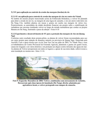 5.2 SV para aplicação no controle da erosão das margens (bordas) do rio
5.2.1 SV em aplicação para controle de erosão das margens de rios no centro do Vietnã.
No âmbito do mesmo projeto mencionado acima da Embaixada Holandesa, a vetiver foi plantada
para deter a erosão de um rio, na margem de uma lagoa de camarão, e em um aterro rodoviário em
Da Nang City. também plantou em massa a grama em seções nas margens de vários rios.
Posteriormente, as autoridades da cidade decidiram financiar um projeto sobre a estabilização de
rachaduras nas encostas instalando vetiver ao longo da estrada montanhosa que conduz ao projeto
Banana em Da Nang, ilustrando o passo da adoção - Fotos 8-10
5.2.2 Experimento e desenvolvimento de SV para a proteção das margens de rios em Quang
Ngai
Conforme outro resultado deste projeto-piloto, as plantas de vetiver foram recomendadas para uso
em outro projeto para redução de desastres naturais na província de Quang Ngai, financiada pela
AusAID. Com o apoio técnico por via de Tran Van Tan em julho de 2003, Vo Thanh Thuy e seus
co-trabalhadores do Centro Provincial de Extensão Agrícola, plantaram a grama em quatro locais,
canais de irrigação e em vários distritos e em proteção aos diques contra intrusões das águas do mar.
As plantas de Vetiver prosperaram em todos os lugares e, apesar de sua tenra idade, sobreviveram a
uma inundação no mesmo ano - fotos 11-14.
Foto 9: Esquerda: Dezembro de 2004: Vetiver, combinadas com enrocamento de rochedos,
floresceram após duas épocas de inundação (Da Nang); direita: plantadas por
agricultores locais, a vetiver protegendo seus tanques de camarão.
 