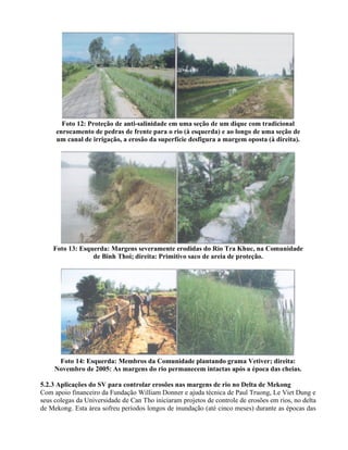 Foto 12: Proteção de anti-salinidade em uma seção de um dique com tradicional
enrocamento de pedras de frente para o rio (à esquerda) e ao longo de uma seção de
um canal de irrigação, a erosão da superfície desfigura a margem oposta (à direita).
Foto 13: Esquerda: Margens severamente erodidas do Rio Tra Khuc, na Comunidade
de Binh Thoi; direita: Primitivo saco de areia de proteção.
Foto 14: Esquerda: Membros da Comunidade plantando grama Vetiver; direita:
Novembro de 2005: As margens do rio permanecem intactas após a época das cheias.
5.2.3 Aplicações do SV para controlar erosões nas margens de rio no Delta de Mekong
Com apoio financeiro da Fundação William Donner e ajuda técnica de Paul Truong, Le Viet Dung e
seus colegas da Universidade de Can Tho iniciaram projetos de controle de erosões em rios, no delta
de Mekong. Esta área sofreu períodos longos de inundação (até cinco meses) durante as épocas das
 