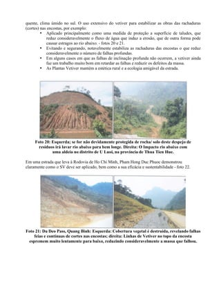 quente, clima úmido no sul. O uso extensivo do vetiver para estabilizar as obras das rachaduras
(cortes) nas encostas, por exemplo:
• Aplicado principalmente como uma medida de proteção a superfície de taludes, que
reduz consideravelmente o fluxo de água que induz a erosão, que de outra forma pode
causar estragos ao rio abaixo. - fotos 20 e 21.
• Evitando e segurando, notavelmente estabiliza as rachaduras das encostas o que reduz
consideravelmente o número de falhas profundas.
• Em alguns casos em que as falhas de inclinação profunda não ocorrem, a vetiver ainda
faz um trabalho muito bom em retardar as falhas e reduzir os defeitos da massa.
• As Plantas Vetiver mantém a estética rural e a ecologia amigável da estrada.
Foto 20: Esquerda; se for não devidamente protegida de rocha/ solo deste despejo de
resíduos irá lavar rio abaixo para bem longe. Direita: O Impacto rio abaixo com
uma aldeia no distrito de U Luoi, na província de Thua Tien Hue.
Em uma estrada que leva à Rodovia de Ho Chi Minh, Pham Hong Duc Phuoc demonstrou
claramente como o SV deve ser aplicado, bem como a sua eficácia e sustentabilidade - foto 22.
Foto 21: Da Deo Pass, Quang Binh: Esquerda: Cobertura vegetal é destruída, revelando falhas
feias e contínuas de cortes nas encostas; direita: Linhas de Vetiver no topo da encosta
espremem muito lentamente para baixo, reduzindo consideravelmente a massa que falhou.
 