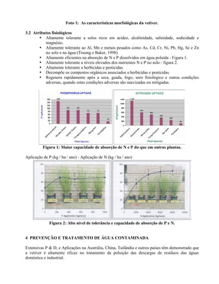 Foto 1: As características morfológicas da vetiver.
3.2 Atributos fisiológicos
• Altamente tolerante a solos ricos em acidez, alcalinidade, salinidade, sodicidade e
magnésio.
• Altamente tolerante ao Al, Mn e metais pesados como As, Cd, Cr, Ni, Pb, Hg, Se e Zn
no solo e na água (Truong e Baker, 1998).
• Altamente eficientes na absorção de N e P dissolvidos em água poluída - Figura 1.
• Altamente tolerante a níveis elevados dos nutrientes N e P no solo - figura 2.
• Altamente tolerante a herbicidas e pesticidas.
• Decompõe os compostos orgânicos associados a herbicidas e pesticidas.
• Regenera rapidamente após a seca, geada, fogo, soro fisiológico e outras condições
adversas, quando estas condições adversas são suavizadas ou mitigadas.
Figura 1: Maior capacidade de absorção de N e P do que em outras plantas.
Aplicação de P (kg / ha / ano) - Aplicação de N (kg / ha / ano)
Figura 2: Alto nível de tolerância e capacidade de absorção de P e N.
4 PREVENÇÃO E TRATAMENTO DE ÁGUA CONTAMINADA
Extensivas P & D, e Aplicações na Austrália, China, Tailândia e outros países têm demonstrado que
a vetiver é altamente eficaz no tratamento da poluição das descargas de resíduos das águas
doméstica e industrial.
 