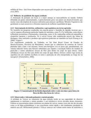 milhões de litros / dia) foram dispersadas com sucesso pela irrigação do solo usando vetiver (Smeal
et al, 2003).
4.2 Melhoria da qualidade das águas residuais
A eliminação da poluição em locais é a maior ameaça ao meio-ambiente no mundo. Embora
difundida em países industrializados, é particularmente grave nos países em desenvolvimento, que
muitas vezes não dispõem de recursos suficientes para atenuar o problema. Métodos Vegetativos são
geralmente os mais acessíveis e eficientes maneiras de melhorar a qualidade da água.
4.2.1 Interceptação de detritos, sedimentos e agro-químicos em terras agrícolas
Na Austrália em pesquisas conduzidas em cana-de-açúcar e fazendas de algodão mostram que a
vetiver segurou eficazmente partículas ligadas de nutrientes, como P e Ca; herbicidas, como diuron,
trifluralina, prometrina e Fluometurão; e pesticidas, como A, B e endosulfan sulfato de endosulfan e
clorpirifos, paration, e profenofos. Se a vetiver tivesse sido estabelecida através das linhas de
drenagem, estes nutrientes e produtos agro-químicos poderiam ser mantidos no local (Truong et al.
2000) - Figura 3.
Um experimento conduzido na Tailândia, no Sai Huai Royal Centro de Estudos de
Desenvolvimento, Província de Phetchaburi, mostra que as coberturas de contorno de Vetiver
plantadas lado a lado e nas encostas, forma uma barragem viva ao passo que, paralelamente, seu
sistema radicular forma uma barreira subterrânea que impede a veiculação hídrica de resíduos de
pesticidas e outras substâncias tóxicas de fluir para dentro do corpo de água abaixo. outras
substâncias tóxicas de fluir para dentro do corpo de água abaixo. Grossos colmos logo acima da
superfície do solo também recolhem os restos e partículas do solo transportadas ao longo da via
navegável. (Chomchalow, 2006).
Figura 3: Concentração de herbicida depositado sobre o solo em cima e para baixo do
fluxo do filtro das faixas de vetiver.
4.2.2 Absorvendo e tolerando poluentes e metais pesados
A utilidade de Vetiver no tratamento da água poluída reside na sua capacidade de absorver
rapidamente os nutrientes e metais pesados, e sua tolerância a níveis elevados destes elementos.
Embora as concentrações destes elementos em plantas de vetiver, muitas vezes não são tão elevados
como os de hiper-acumuladores, o seu crescimento muito rápido e alto rendimento (produção de
matéria seca até 100/ha/anual) permite a Vetiver remover um volume muito maior de nutrientes e
 