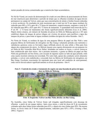 metais pesados de terras contaminadas que a maioria dos hiper-acumuladores.
No Sul do Vietnã, um ensaio de demonstração foi criado em uma fábrica de processamento de frutos
do mar (mariscos) para determinar o período de tempo que os efluentes (resíduos da água) devem
permanecer no campo de Vetiver, antes que suas concentrações de nitrato e fosfato fossem reduzidas
a níveis aceitáveis. Os resultados do teste mostraram que o total teor de N nas águas residuais foi
reduzido para 88% e 91% após 48 e 72 horas de tratamento, respectivamente, enquanto o total de P
foi reduzido para 80% e 82% após 48 e 72 horas de tratamento. A quantidade total removida de N e
P em 48 - e 72 horas de tratamentos não foram significativamente diferentes (Luu et al, 2006).
Depois destes ensaios, um número de fazendas de peixes no Delta de Mekong aprovou o SV para
estabilizar diques de tanque de peixes (diques em viveiros de peixes), para purificar a água dos
tanques de peixes, e para tratar as águas residuais (resíduos da água) de outras fazendas - foto 3.
No Norte do Vietnã, os resíduos da água de uma pequena fábrica de papel em Bac Ninh e uma
pequena fábrica de fertilizantes de nitrogênio em Bac Giang é altamente poluída com nutrientes e
substâncias químicas como os lixiviados (água infiltrada através de uma sólido e filtra para fora
alguns dos components) do aterro. As fábricas lançam seus esgotos diretamente em um pequeno rio
no Delta do Rio Vermelho (Red River Delta). Instalados em ambos os locais, a vetiver tornou-se
bem estabelecida após dois meses. Até o presente momento, a grama na fábrica de papel em Bac
Ninh esta geralmente em boa forma, com exceção de algumas seções ao lado da água poluída, onde
estas seções mostram sintomas de toxicidade. Por outro lado, apesar das condições serem altamente
poluídas, a vetiver está estabelecida e crescendo bem na fábrica de fertilizantes de nitrogênios em
Bac Giang. Excelente crescimento foi registrado para este local sob condições de semi-pantanal,
onde vetiver deverá reduzir significativamente os níveis de poluentes - foto 4.
Foto 3: Controle de erosão e tratamento de esgoto em uma fazenda de peixes de água
doce no Delta de Mekong.
Foto 4: Esquerda: Vetiver em Bac Ninh; direita: em Bac Giang.
Na Austrália, cinco linhas de Vetiver foram sub irrigadas superficialmente com descarga de
efluentes a partir de um tanque séptico. Após cinco meses, o total de doses de N de escoamento
coletados após duas linhas foram reduzidas para 83%, e depois de cinco linhas para 99%. Da mesma
forma, os níveis totais de P foram respectivamente, reduzidos para 82% e 85%, (Truong e Hart,
2001) - Figura 4.
 