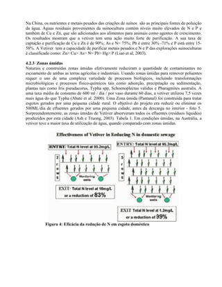 Na China, os nutrientes e metais pesados das criações de suínos são as principais fontes de poluição
da água. Águas residuais provenientes da suinocultura contém níveis muito elevados de N e P e
também de Cu e Zn, que são adicionados aos alimentos para animais como agentes de crescimento.
Os resultados mostram que a vetiver tem uma ação muito forte de purificação. A sua taxa de
captação e purificação de Cu e Zn é de 90%; As e N> 75%; Pb é entre 30% -71% e P está entre 15-
58%. A Vetiver tem a capacidade de purificar metais pesados e N e P das explorações suinoculturas
é classificado como: Zn> Cu> As> N> Pb> Hg> P (Liao et al, 2003).
4.2.3 Zonas úmidas
Naturais e construídas zonas úmidas efetivamente reduziram a quantidade de contaminantes no
escoamento de ambas as terras agrícolas e industriais. Usando zonas úmidas para remover poluentes
requer o uso de uma complexa variedade de processos biológicos, incluindo transformações
microbiológicas e processos físico-químicos tais como adsorção, precipitação ou sedimentação,
plantas tais como Iris pseudacorus, Typha spp, Schoenoplectus validus e Pharagmites australis. A
uma taxa média de consumo de 600 ml / dia / por vaso durante 60 dias, a vetiver utilizou 7,5 vezes
mais água do que Typha (Abate et al. 2000). Uma Zona úmida (Pantanal) foi construída para tratar
esgotos gerados por uma pequena cidade rural. O objetivo do projeto era reduzir ou eliminar os
500ML/dia de efluentes gerados por uma pequena cidade, antes da descarga no interior - foto 5.
Surpreendentemente, as zonas úmidas de Vetiver absorveram todos os efluentes (resíduos líquidos)
produzidos por esta cidade (Ash e Truong, 2003). Tabela 1. Em condições úmidas, na Austrália, a
vetiver teve a maior taxa de utilização de água, quando comparado com zonas úmidas.
Figura 4: Eficácia da redução de N em esgoto doméstico
 