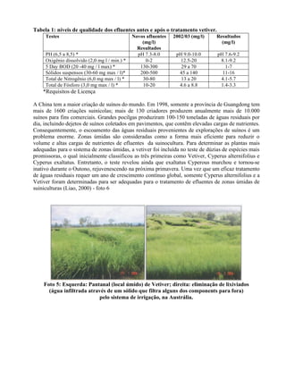 Tabela 1: níveis de qualidade dos efluentes antes e após o tratamento vetiver.
Testes Novos afluentes
(mg/l)
Resultados
2002/03 (mg/l) Resultados
(mg/l)
PH (6,5 a 8,5) * pH 7.3-8.0 pH 9.0-10.0 pH 7.6-9.2
Oxigênio dissolvido (2,0 mg l / min.) * 0-2 12.5-20 8.1-9.2
5 Day BOD (20 -40 mg / l max) * 130-300 29 a 70 1-7
Sólidos suspensos (30-60 mg max / l)* 200-500 45 a 140 11-16
Total de Nitrogênio (6,0 mg max / l) * 30-80 13 a 20 4.1-5.7
Total de Fósforo (3,0 mg max / l) * 10-20 4.6 a 8.8 1.4-3.3
*Requisitos de Licença
A China tem a maior criação de suínos do mundo. Em 1998, somente a província de Guangdong tem
mais de 1600 criações suinícolas; mais de 130 criadores produzem anualmente mais de 10.000
suínos para fins comerciais. Grandes pocilgas produziram 100-150 toneladas de águas residuais por
dia, incluindo dejetos de suínos coletados em pavimentos, que contêm elevadas cargas de nutrientes.
Consequentemente, o escoamento das águas residuais provenientes de explorações de suínos é um
problema enorme. Zonas úmidas são consideradas como a forma mais eficiente para reduzir o
volume e altas cargas de nutrientes de efluentes da suinocultura. Para determinar as plantas mais
adequadas para o sistema de zonas úmidas, a vetiver foi incluída no teste de dúzias de espécies mais
promissoras, o qual inicialmente classificou as três primeiras como Vetiver, Cyperus alternifolius e
Cyperus exaltatus. Entretanto, o teste revelou ainda que exaltatus Cyperous murchou e tornou-se
inativo durante o Outono, rejuvenescendo na próxima primavera. Uma vez que um eficaz tratamento
de águas residuais requer um ano de crescimento contínuo global, somente Cyperus alternifolius e a
Vetiver foram determinadas para ser adequadas para o tratamento de efluentes de zonas úmidas de
suiniculturas (Liao, 2000) - foto 6
Foto 5: Esquerda: Pantanal (local úmido) de Vetiver; direita: eliminação de lixiviados
(água infiltrada através de um sólido que filtra alguns dos components para fora)
pelo sistema de irrigação, na Austrália.
 