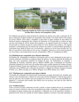 Foto 6: Esquerda: Pontões de Vetiver nos viveiros de fazenda de suínos
em Bien Hoa; a direita: em Guangzhou, China.
Na Tailândia uma pesquisa muito profunda foi realizada nos últimos anos sobre a aplicação do SV
para o tratamento de águas residuais em construídas zonas úmidas. Um estudo utilizou três ecotipos
de Vetiver (Monto, Surat Thani, e Songkhla 3) para tratar as águas residuais de uma fábrica de
farinha de tapioca, empregando dois sistemas de tratamento: (a) Conservando os resíduos da água
em uma zona úmida de vetiver durante duas semanas e, em seguida drená-la até se esgotar, e (b)
Conservando os resíduos da água em zonas úmidas de vetiver durante uma semana e, em seguida,
drenando-o continuamente por um total de três semanas. Em ambos os sistemas Monto apresentou o
crescimento mais rápido de broto, raiz e de biomassa, e absorveu os níveis mais elevados de P, K,
Mn e Cu nos brotos e raízes (Mg, Ca e Fe na raiz, e Songkhla 3 absorveu os níveis mais elevados de
Ca, Fe no broto, e nível máximo de N na raiz. (Chomchalow, 2006, cit. Techapinyawat 2005).
4.2.4 Modelagem por computador para efluentes industriais
Os Modelos em computadores tornaram-se ferramentas cada vez mais indispensáveis para gerir os
sistemas ambientais, incluindo os complexos planos de gerência no manejo industrial de resíduos da
água, tais como saneamento industrial de resíduos da água. Em Queensland, na Austrália, a
Autoridade de Proteção Ambiental aprovou MEDLI (Modelo para a Eliminação de Efluentes,
utilizando Irrigação por Terra) como um modelo básico para a gestão industrial de resíduos da água.
O desenvolvimento recente mais significativo no uso do SV para escoamento de águas residuais é de
calibração vetiver MEDLI para a absorção de nutrientes e irrigação de efluentes (resíduos da água)
(Vieritz, et al., 2003), (Truong, et al., 2003a), (Wagner, et al. 2003), (Smeal, et al., 2003).
4.2.5 Modelagem por computador para águas residuais
Um modelo de computador foi desenvolvido recentemente na região sub-tropical da Austrália, para
estimar a área necessária para o plantio de vetiver para eliminar totalmente a saída de água preta e
cinza de cada casa. Por exemplo, uma área de plantio de vetiver de 77m2
, com uma densidade de 5
plantas/m2
, é necessário para atender uma família com seis pessoas, com base em uma saída de
120L/por/pessoa/dia.
4.2.6 Tendência futura
Como a escassez de água é alarmante em todo o mundo, as águas residuais devem ser consideradas
como um recurso renovável e não como um problema que exige a eliminação. A tendência atual é a
reciclagem de águas residuais para uso doméstico e industrial, em vez de descartá-la. Portanto, o
potencial do SV como um caminho de forma simples, higiênica e de baixo custo para tratamento e
 
