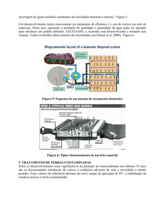 reciclagem de águas residuais resultantes das atividades humanas é enorme - Figura 5.
Um desenvolvimento muito emocionante no tratamento de efluentes é o uso de vetiver em solo de
canaviais. Nesta nova aplicação a produção de qualidade e quantidade da água pode ser ajustado
para satisfazer um padrão definido. GELITAAPA, a Austrália está desenvolvendo e testando este
sistema. Todos os detalhes deste sistema são encontrados em (Smeal et al. 2006) - Figura 6.
Figura 5: Esquema de um sistema de escoamento doméstico
Figura 6: Típico funcionamento de um leito canavial
5 TRATAMENTO DE TERRAS CONTAMINADAS
Entre os desenvolvimentos mais significativos na proteção do meio-ambiente nos últimos 15 anos
são as documentadas tolerâncias da vetiver à condições adversas do solo e toxicidade a metais
pesados. Estes valores de referência abriram um novo campo de aplicação do SV: a reabilitação de
resíduos tóxicos e terras contaminadas.
 