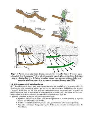 Figura 1: Acima, à esquerda: banco de contorno, abaixo à esquerda: Bancos desviam a água;
acima, à direita: Barreiras de Vetiver criam bancos e terraços (esplanadas) ao longo do tempo;
abaixo à direita: Barreiras de Vetiver retardam a enxurrada (escoamento) superficial para
aumentar a infiltração, e a água permanece no campo (Campoverde 1989).
2.4 Aplicações em planícies de inundações
O SV é um instrumento importante para controlar a erosão das inundações em todas as planícies de
alimentos dos principais rios do Vietnã. Seu uso não está restrito ao Delta do Rio Vermelho no norte
e no delta do Mekong, no sul. Suas aplicações são especialmente importantes para as províncias
costeiras centrais, onde as inundações relâmpagos regularmente ocorrem com efeitos devastadores,
como no caso da planície de inundação do Rio Lam na província de Nghe An.
Coberturas (barreiras) de Vetiver nas planícies de inundações:
• Reduzir a velocidade de fluxo, que podem apresentar as culturas (safras), e o poder
erosivo das enxurradas (escoamentos).
• Manter o solo fértil de aluvião (rico) no local, que mantém a fertilidade das planícies.
• Aumentar a infiltração da água nas regiões de baixa pluviosidade, como na província de
Ninh Thuan.
 