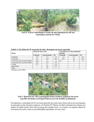 Foto 6: Vetiver controlando a erosão em uma plantação de café nas
montanhas centrais do Vietnã.
Tabela 1: Os efeitos de SV na perda de solo e drenagem em terras agrícolas
perda de solo (t /ha) Escoamento (% da precipitação
pluvial)Países
Controle Convencional SV Controle Convencional SV
Tailândia 3.9 7.3 2.5 1.2 1.4 0.8
Venezuela 95 88.7 20.2 64.1 50 21.9
Venezuela (15% de declividade) 16.8 12 1.1 88 76 72
Venezuela (26% de declividade) 35.5 16.1 4.9 - -
Vietnã 27.1 5.7 0.8 - -
Bangladesh - 42 6-11 - -
Índia - 25 2 - -
(Truong e Loch, 2004)
Foto 7: Barreiras de vetiver protegendo hortas escolares orgânicas em terras
com 50% de declive no Projeto Pobreza no Leste de Bali, na Indonésia.
Na Indonésia, a introdução do SV em terras agrícolas tem sido muito eficaz através de um programa
de educação escolar de hortas orgânicas. No Projeto SV Pobreza em Bali é plantado por crianças nos
jardins em idade escolar, bem como ao longo das estradas locais. As crianças, em seguida, depois de
retornarem da escola, usam as suas habilidades aprendidas, em suas casas.
 