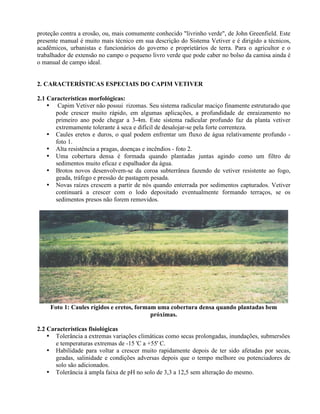 proteção contra a erosão, ou, mais comumente conhecido "livrinho verde", de John Greenfield. Este
presente manual é muito mais técnico em sua descrição do Sistema Vetiver e é dirigido a técnicos,
acadêmicos, urbanistas e funcionários do governo e proprietários de terra. Para o agricultor e o
trabalhador de extensão no campo o pequeno livro verde que pode caber no bolso da camisa ainda é
o manual de campo ideal.
2. CARACTERÍSTICAS ESPECIAIS DO CAPIM VETIVER
2.1 Características morfológicas:
• Capim Vetiver não possui rizomas. Seu sistema radicular maciço finamente estruturado que
pode crescer muito rápido, em algumas aplicações, a profundidade de enraizamento no
primeiro ano pode chegar a 3-4m. Este sistema radicular profundo faz da planta vetiver
extremamente tolerante à seca e difícil de desalojar-se pela forte correnteza.
• Caules eretos e duros, o qual podem enfrentar um fluxo de água relativamente profundo -
foto 1.
• Alta resistência a pragas, doenças e incêndios - foto 2.
• Uma cobertura densa é formada quando plantadas juntas agindo como um filtro de
sedimentos muito eficaz e espalhador da água.
• Brotos novos desenvolvem-se da coroa subterrânea fazendo de vetiver resistente ao fogo,
geada, tráfego e pressão de pastagem pesada.
• Novas raízes crescem a partir de nós quando enterrada por sedimentos capturados. Vetiver
continuará a crescer com o lodo depositado eventualmente formando terraços, se os
sedimentos presos não forem removidos.
Foto 1: Caules rígidos e eretos, formam uma cobertura densa quando plantadas bem
próximas.
2.2 Características fisiológicas
• Tolerância a extremas variações climáticas como secas prolongadas, inundações, submersões
e temperaturas extremas de -15 'C a +55' C.
• Habilidade para voltar a crescer muito rapidamente depois de ter sido afetadas por secas,
geadas, salinidade e condições adversas depois que o tempo melhore ou potenciadores de
solo são adicionados.
• Tolerância à ampla faixa de pH no solo de 3,3 a 12,5 sem alteração do mesmo.
 
