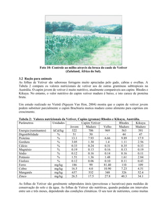 Foto 10: Controle ao milho através da broca do caule de Vetiver
(Zululand, África do Sul).
3.2 Ração para animais
As folhas de Vetiver são saborosas forragens muito apreciadas pelo gado, cabras e ovelhas. A
Tabela 2 compara os valores nutricionais de vetiver aos de outras gramíneas subtropicais na
Austrália. O capim jovem de vetiver é muito nutritivo, atualmente comparáveis aos capins Rhodes e
Kikuyu. No entanto, o valor nutritivo do capim vetiver maduro é baixo, e isto carece de proteína
bruta.
Um estudo realizado no Vietnã (Nguyen Van Hon, 2004) mostra que o capim de vetiver jovem
podem substituir parcialmente o capim Brachiaria mutica maduro como alimento para caprinos em
crescimento.
Tabela 2: Valores nutricionais da Vetiver, Capins (gramas) Rhodes e Kikuyu, Austrália.
Capim Vetiver Rhodes KikuyuParâmetros Unidades
Jovem Maduro Velho Maduro Maduro
Energia (ruminantes) kCal/kg 522 706 969 563 391
Digestibilidade % 51 50 - 44 47
Proteína % 13.1 7.93 6.66 9.89 17.9
Gordura % 3.05 1.30 1.4 1.11 2.56
Cálcio % 0.33 0.24 0.31 0.35 0.33
Magnésio % 0.19 0.13 0.16 0.13 0.19
Sódio % 0.12 0.16 0.14 0.16 0.11
Potássio % 1.51 1.36 1.48 1.61 2.84
Fósforo % 0.12 0.06 0.10 0.11 0.43
Ferro mg/kg 186 99 81.40 110 109
Cobre mg/kg 16.5 4.0 10.90 7.23 4.51
Manganês mg/kg 637 532 348 326 52.4
Zinco mg/kg 26.5 17.5 27.8 40.3 34.1
As folhas de Vetiver são geralmente subprodutos úteis (proveitosas e lucrativas) para medidas de
conservação do solo e da água. As folhas de Vetiver são nutritivas, quando podadas em intervalos
entre um e três meses, dependendo das condições climáticas. O seu teor de nutrientes, como muitas
 