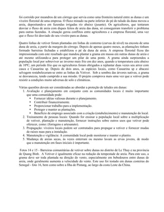 foi corroído por meandros de um córrego que servia como uma fronteira natural entre as dunas e um
viveiro florestal de uma empresa. O fluxo minado na parte inferior do pé do talude da duna moveu a
areia, depositando-a em fazendas irrigadas rio abaixo (jusante). Os agricultores, que tentaram
desviar o fluxo de areia com diques feitos de areia das duna, só conseguiram transferir o problema
para outras fazendas. A situação gerou conflitos entre agricultores e a empresa florestal, uma vez
que o fluxo foi desviado do seu viveiro para as dunas.
Quatro linhas de vetiver foram plantadas em linhas de contorno (curvas de nível) na encosta de uma
duna de areia, a partir da margem do córrego. Depois de apenas quatro meses, as plantações tinham
formado barreiras fechadas e estabilizou o pé da duna de areia. A empresa florestal ficou tão
impressionada com este resultado que mandou plantar a grama em massa em outras dunas de areia e
até mesmo utilizando-a para proteger um pilar de uma ponte. A grama ainda surpreendeu a
população local por sobreviver ao inverno mais frio em dez anos, quando a temperatura caiu abaixo
de 10ºC, um período frio que os agricultores foram obrigados a replantar duas vezes seu arroz com
casca e Casuarina sp. Depois de dois anos, as espécies locais, como Casuarina sp e abacaxi
selvagem restabeleceram-se entre as linhas da Vetiver. Sob a sombra das árvores nativas, a grama
se desvaneceu, tendo cumprido a sua missão. O projeto comprova mais uma vez que a vetiver pode
resistir a condições muito adversas de solo e climáticas.
Várias questões devem ser consideradas ao abordar a proteção de taludes em dunas:
1. Avaliação e planejamento em conjunto com as comunidades locais é muito importante
que uma comunidade pode:
• Fornecer idéias valiosas durante o planejamento.
• Contribuir financeiramente.
• Proporcionar trabalho para a implementação.
• Proteger e manter as plantações.
• Benefício de emprego associado com a criação (estabelecimento) e manutenção do local.
2. Treinamento de pessoas locais: Quando for ensinar a população local sobre a multiplicação
de vetiver, plantação e manutenção, fornecer instruções sobre outros usos que vetiver pode
oferecer, como: (forragens e artesanato).
3. Propagação: viveiros locais podem ser contratados para propagar a vetiver e fornecer mudas
de raízes nuas para a instalação.
4. Manutenção e vigilância: A comunidade local pode monitorar e manter o plantio.
5. Mudança de areias secas, às vezes enterram ou mesmo lavam as ervas jovens, de modo
que a manutenção em fases iniciais é importante.
Fotos 14 e 15 - Barreiras comunitárias de vetiver sobre dunas no distrito de Le Thuy e na província
de Quang Binh. A Vetiver é igualmente eficaz na redução da tempestade de areia. Para este uso, a
grama deve ser toda plantada na direção do vento, especialmente em bebedouros entre dunas de
areia, onde geralmente aumenta a velocidade do vento. Este uso foi testado em dunas costeiras do
Senegal - foto 16, bem como sobre a Ilha de Pintang, ao largo da costa Leste da China.
 