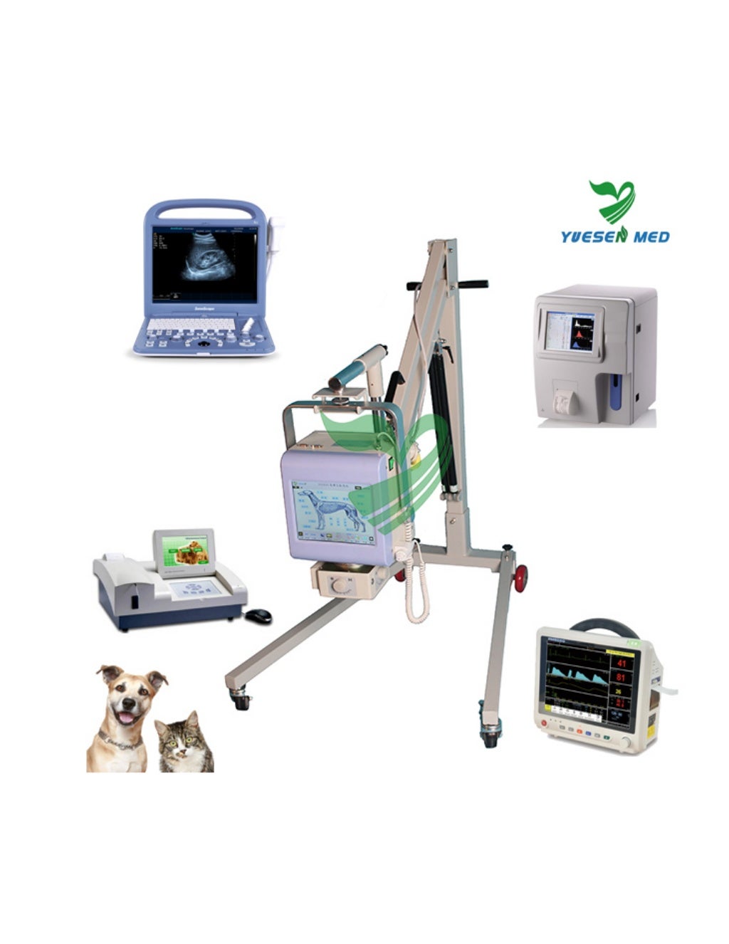 Ysenmed Veterinary Equipment Veterinary Xray Machine and Operation