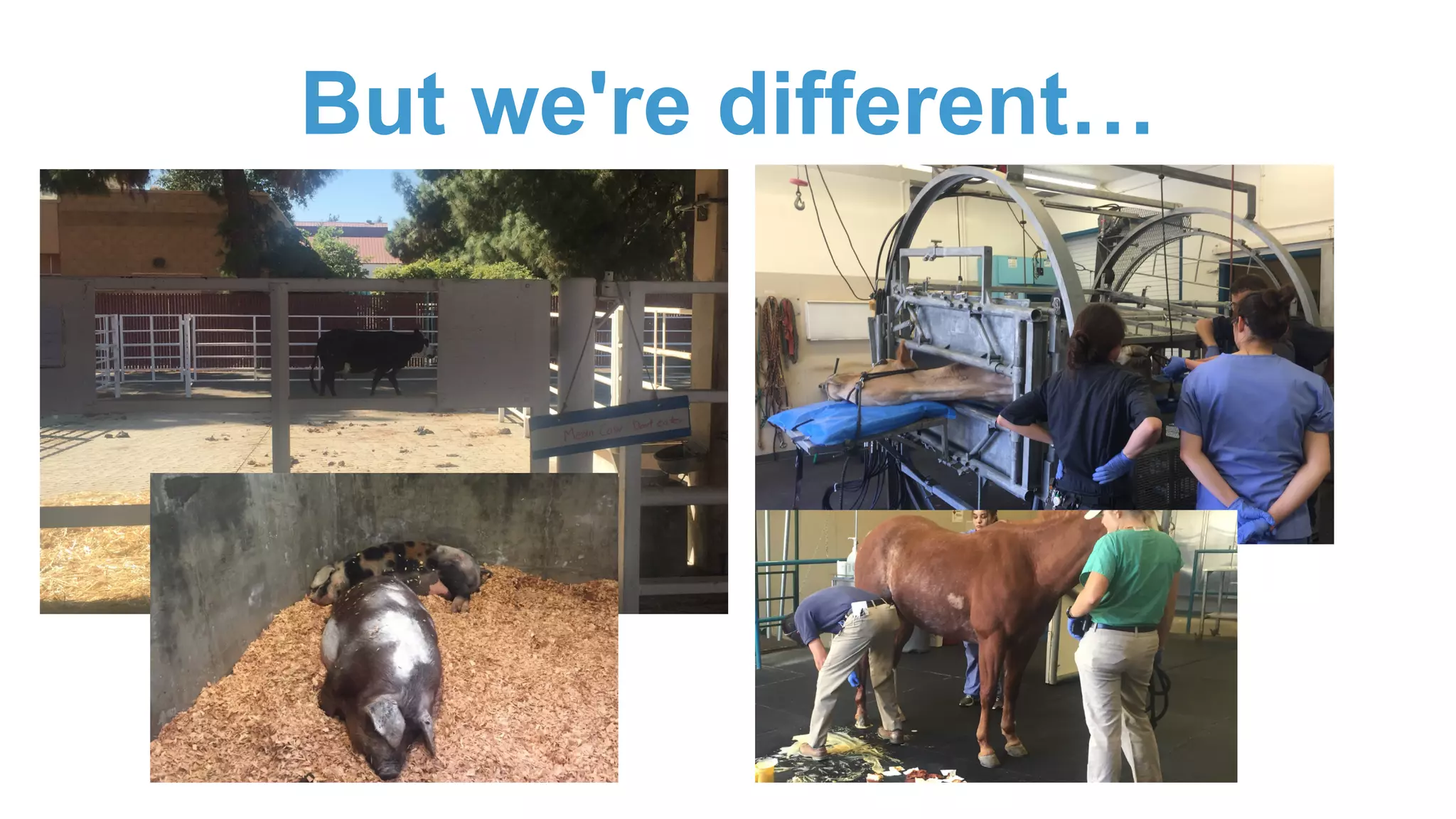 But we're different…
 