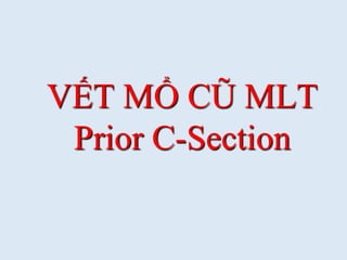 VẾT MỔ CŨ MLT
Prior C-Section
 