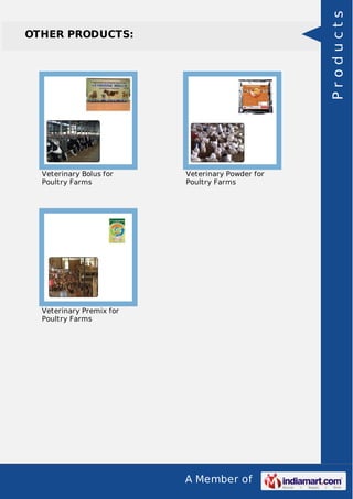 Products

OTHER PRODUCTS:

Veterinary Bolus for
Poultry Farms

Veterinary Powder for
Poultry Farms

Veterinary Premix for
Poultry Farms

A Member of

 