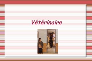 Vétérinaire 