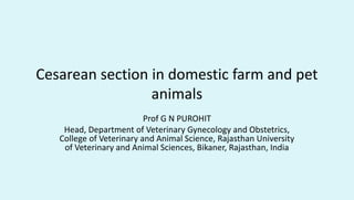Cesarean section in domestic farm and pet
animals
Prof G N PUROHIT
Head, Department of Veterinary Gynecology and Obstetrics,
College of Veterinary and Animal Science, Rajasthan University
of Veterinary and Animal Sciences, Bikaner, Rajasthan, India
 
