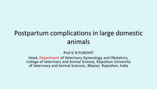Postpartum complications in large domestic
animals
Prof G N PUROHIT
Head, Department of Veterinary Gynecology and Obstetrics,
College of Veterinary and Animal Science, Rajasthan University
of Veterinary and Animal Sciences, Bikaner, Rajasthan, India
 