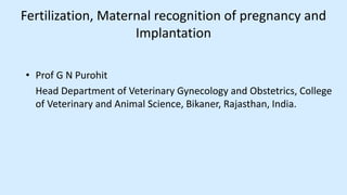 Vet obst lecture 1 Pregnancy in domestic animals