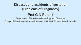 Diseases and accidents of gestation
(Problems of Pregnancy)
Prof G N Purohit
Department of Veterinary Gynecology and Obstetrics
College of Veterinary and Animal Sciences, RAJUVAS, Bikaner, Rajasthan, India
 