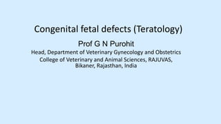 Congenital fetal defects (Teratology)
Prof G N Purohit
Head, Department of Veterinary Gynecology and Obstetrics
College of Veterinary and Animal Sciences, RAJUVAS,
Bikaner, Rajasthan, India
 