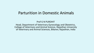 Parturition in Domestic Animals
Prof G N PUROHIT
Head, Department of Veterinary Gynecology and Obstetrics,
College of Veterinary and Animal Science, Rajasthan University
of Veterinary and Animal Sciences, Bikaner, Rajasthan, India
 