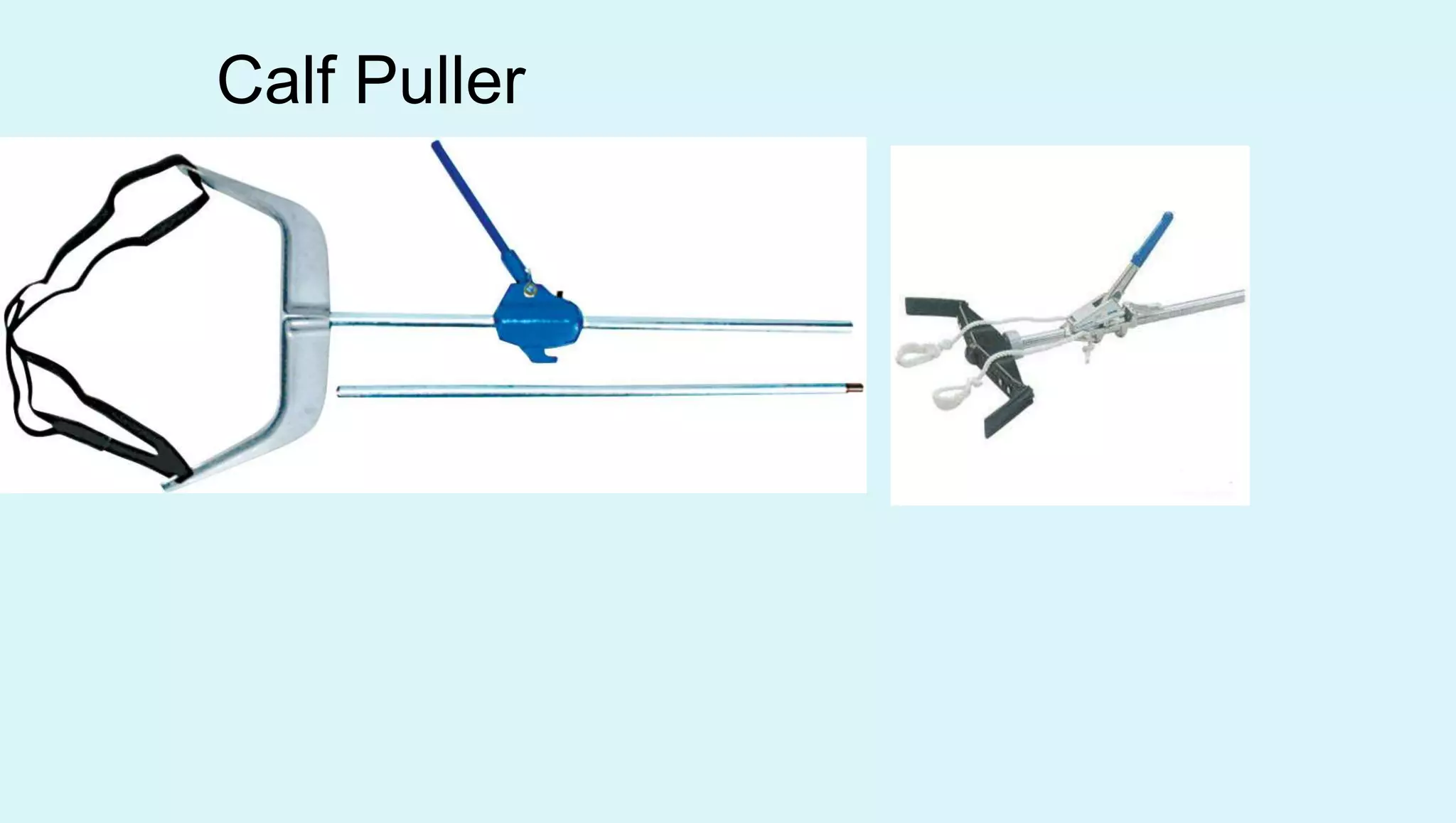 Calf Puller
 