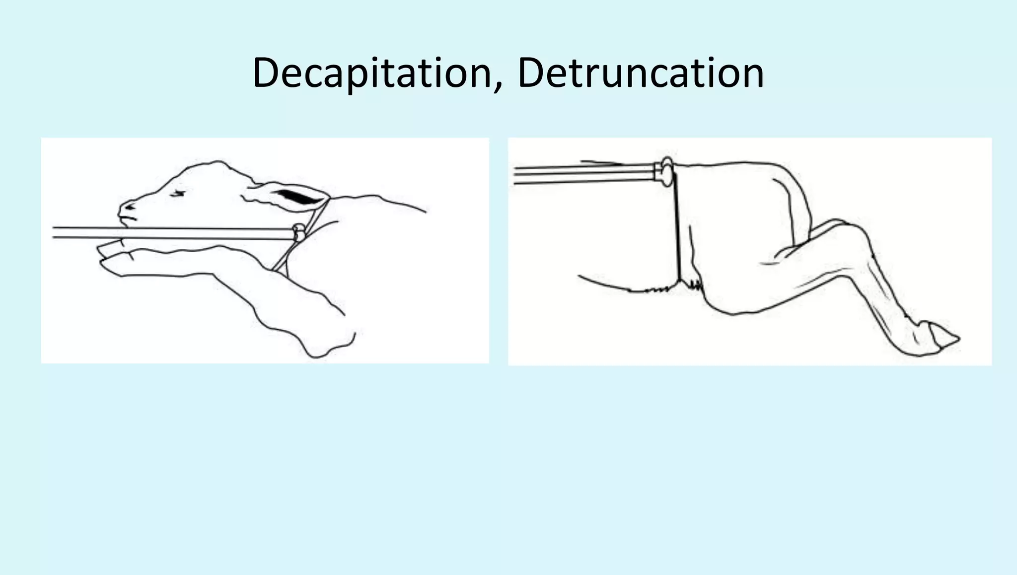 Decapitation, Detruncation
 