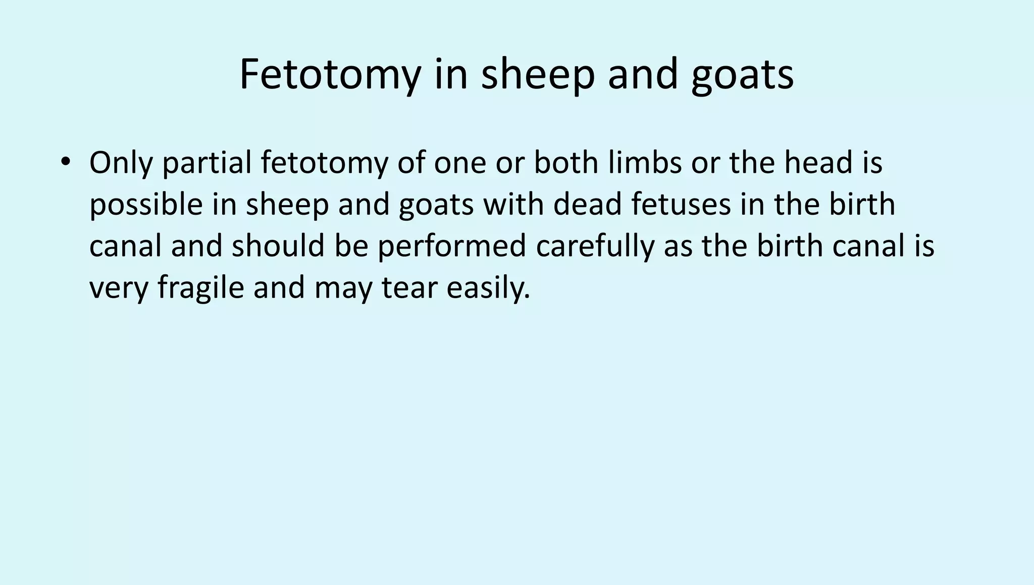 Fetotomy in sheep and goats
• Only partial fetotomy of one or both limbs or the head is
possible in sheep and goats with dead fetuses in the birth
canal and should be performed carefully as the birth canal is
very fragile and may tear easily.
 