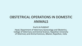 OBSTETRICAL OPERATIONS IN DOMESTIC
ANIMALS
Prof G N PUROHIT
Head, Department of Veterinary Gynecology and Obstetrics,
College of Veterinary and Animal Science, Rajasthan University
of Veterinary and Animal Sciences, Bikaner, Rajasthan, India
 