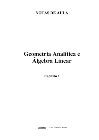 NOTAS DE AULA
Geometria Analítica e
Álgebra Linear
Capítulo 2
Professor: Luiz Fernando Nunes
 