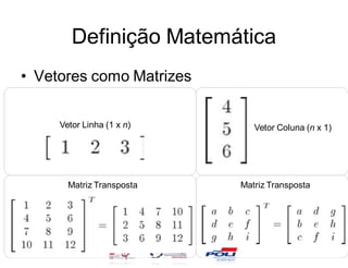 Definição Matemática
• Vetores como Matrizes

     Vetor Linha (1 x n)      Vetor Coluna (n x 1)




       Matriz Transposta   Matriz Transposta
 