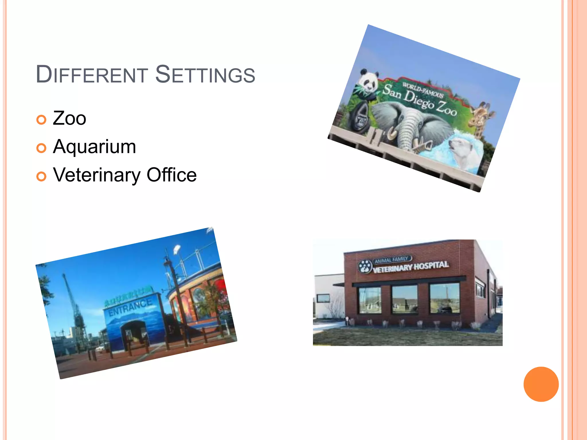 DIFFERENT SETTINGS
 Zoo
 Aquarium

 Veterinary Office
 