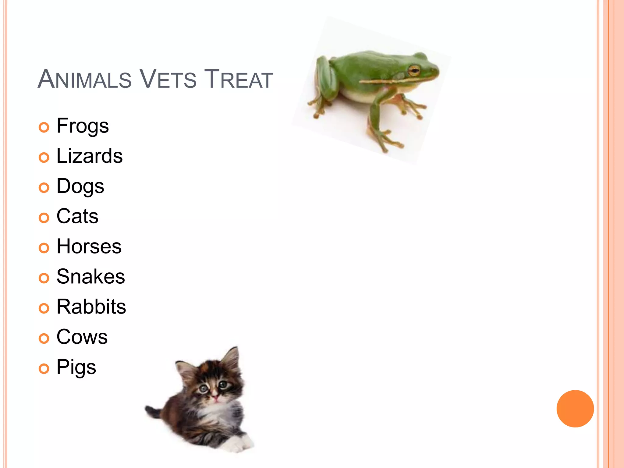 ANIMALS VETS TREAT
 Frogs
 Lizards

 Dogs

 Cats

 Horses

 Snakes

 Rabbits

 Cows

 Pigs
 
