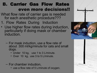 B.  Carrier  Gas  Flow  Rates  even more decisions!! What flow rate of carrier gas is needed for each anesthetic procedure??? 1.  Flow  Rates  During  Induction  Use higher flow rates during induction, particularly if doing mask or chamber induction.  For mask induction, use a flow rate of about  300 ml/kg/minute for cats and small dogs. Under  10 kg,  use 1 to 3 L/minute. Over  10  kg,  use 3 to 5 L/minute. For chamber induction,  use a flow rate of 5 L/minute of oxygen. 