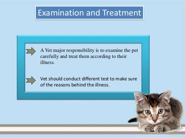 Vets Responsibilities For Your Pets