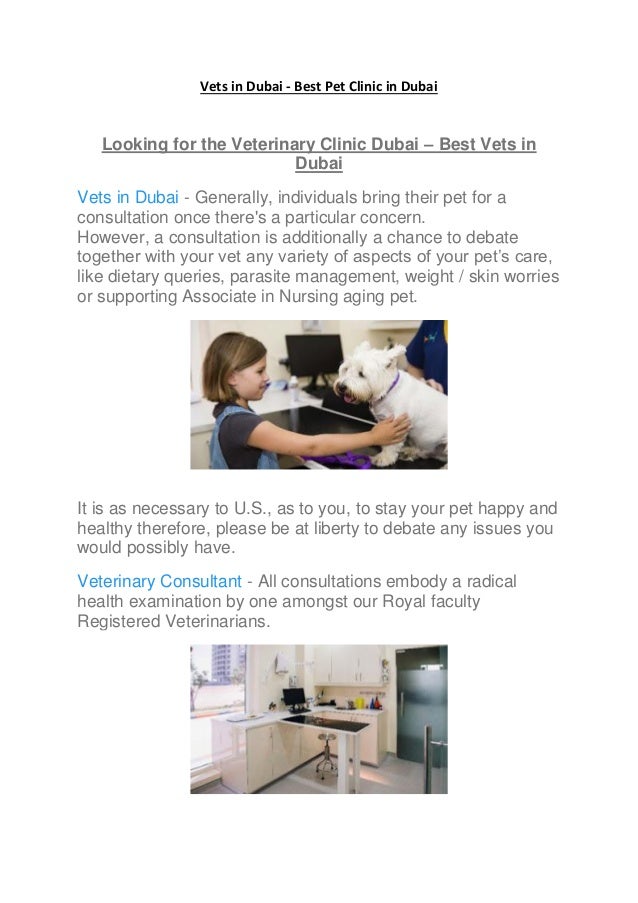 Vets In Dubai Best Pet Clinic In Dubai